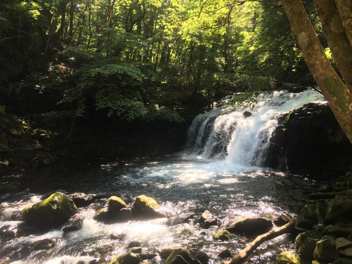 野花住宿加早餐旅馆 立科町 外观 照片