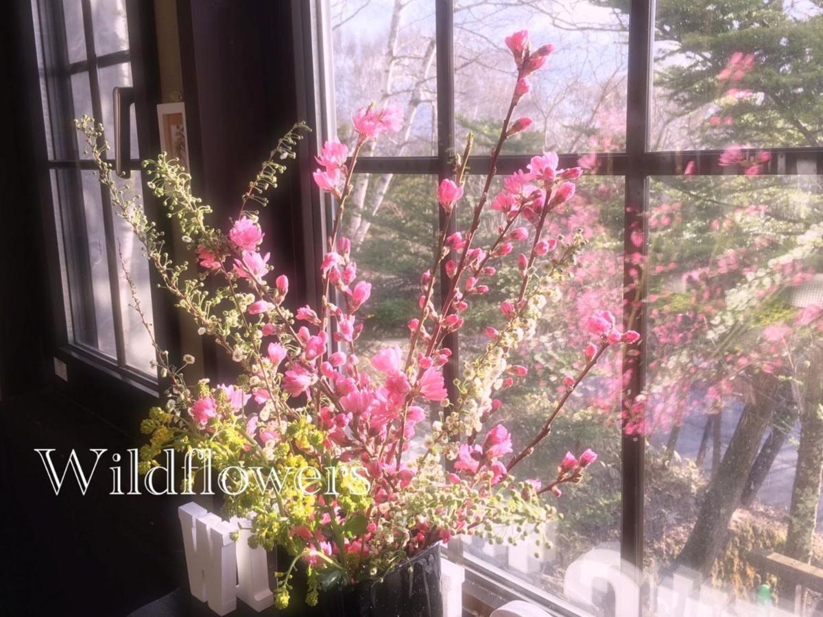 野花住宿加早餐旅馆 立科町 外观 照片